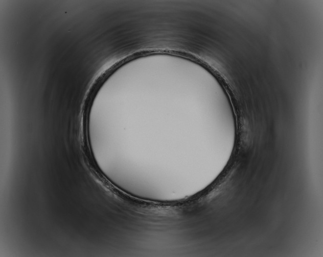 X0000086990982200705071433