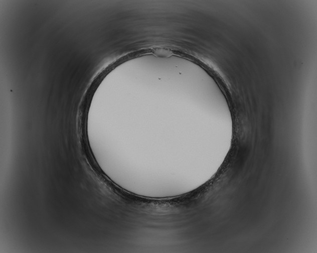 X0000086990983200705071433