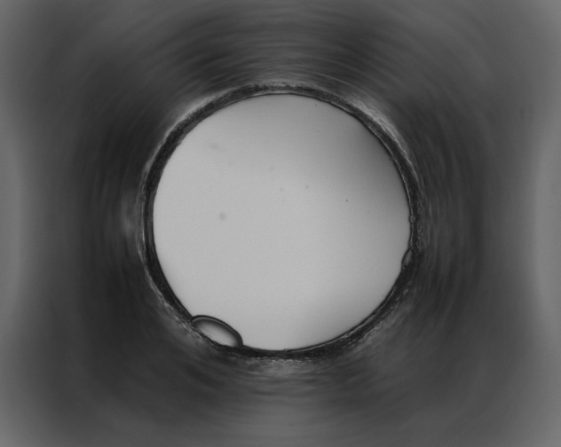 X0000086990984200705071433