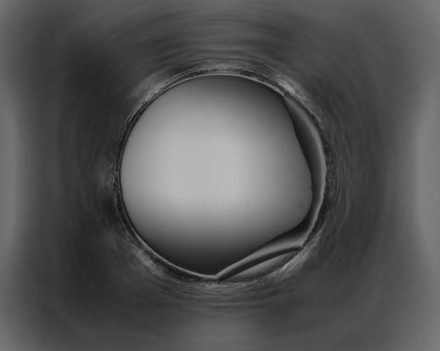 X0000086990985200705071433