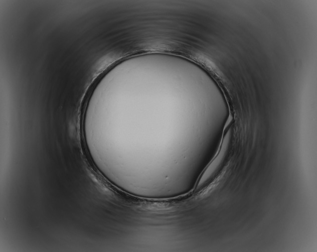 X0000086990986200705071433