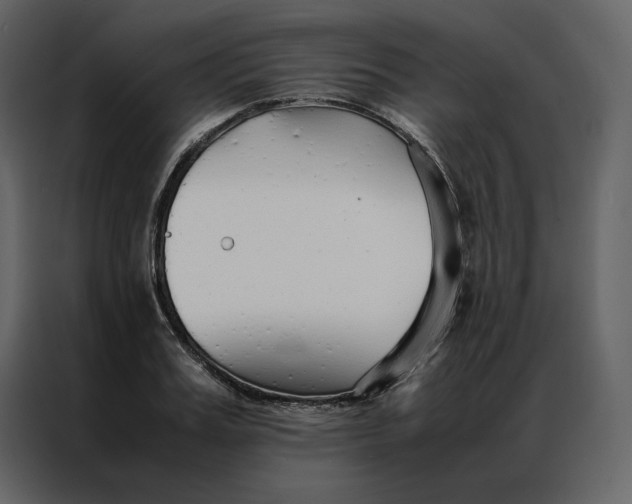 X0000086990987200705071433