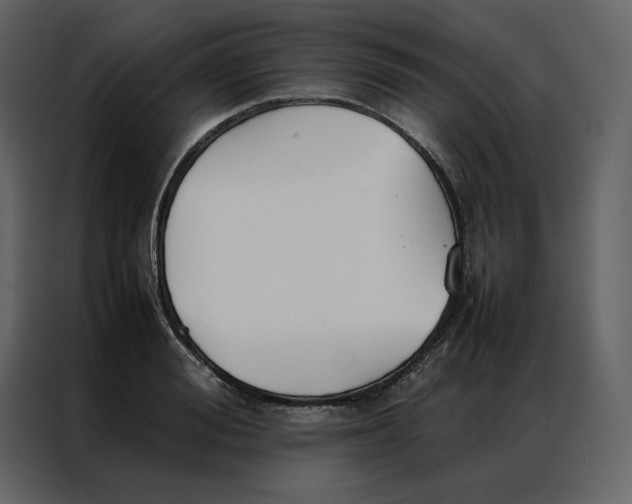 X0000086990988200705071433