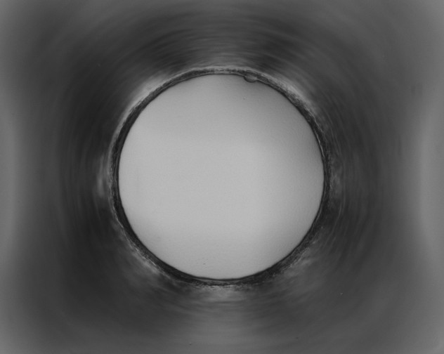 X0000086990990200705071433