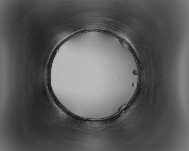 X0000086990991200705071433