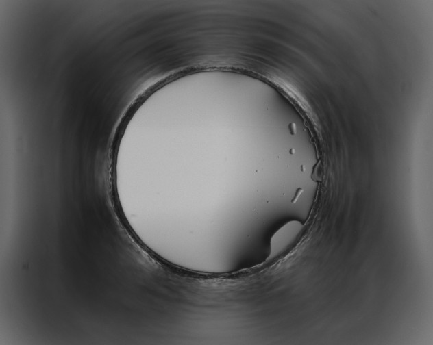 X0000086990992200705071433