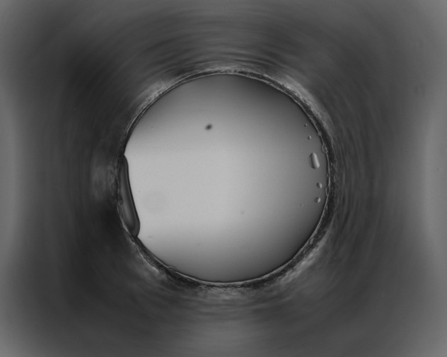 X0000086990993200705071433