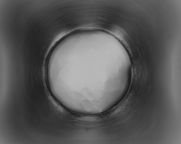 X0000086990998200705071433