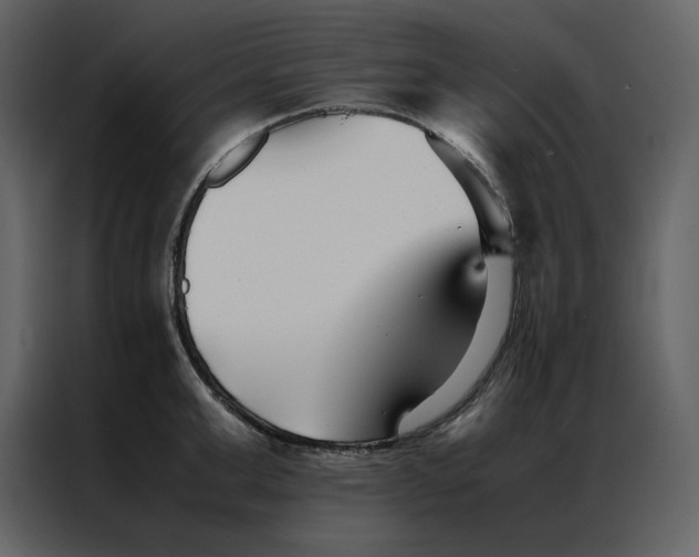 X0000086990999200705071433