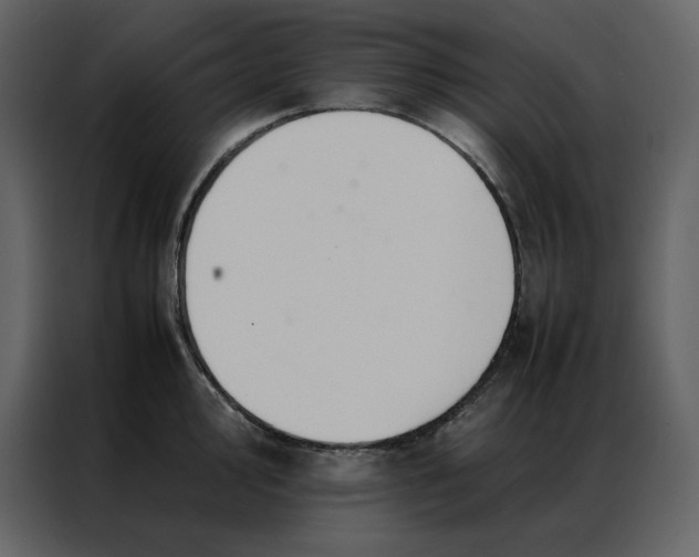 X0000086991000200705071433