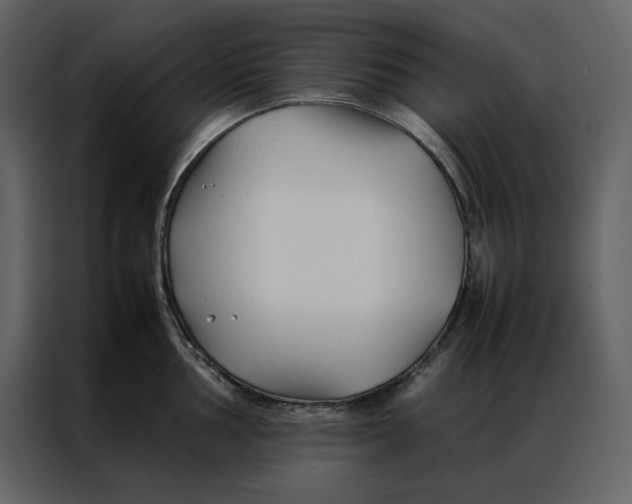 X0000086991002200705071433