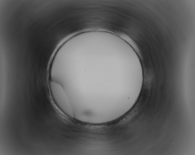 X0000086991004200705071433