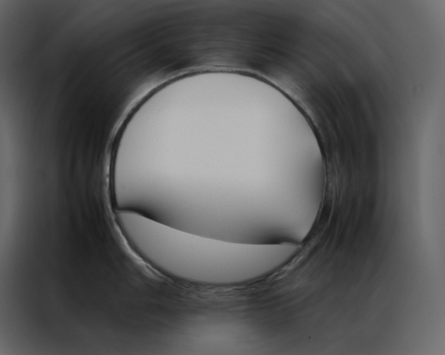 X0000086991006200705071433