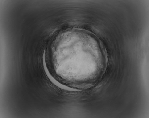 X0000086991010200705071432