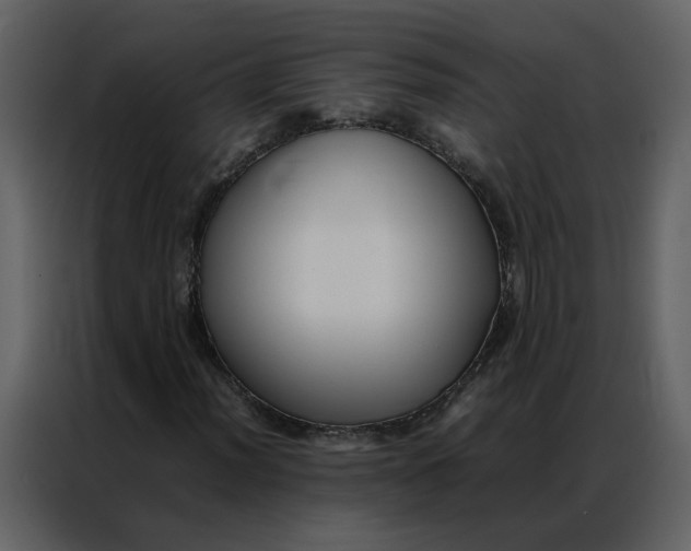 X0000086991012200705071432