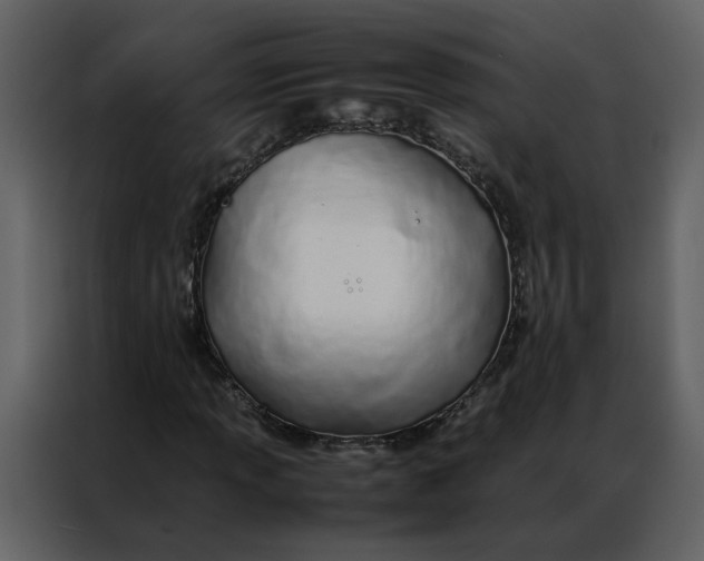 X0000086991013200705071432