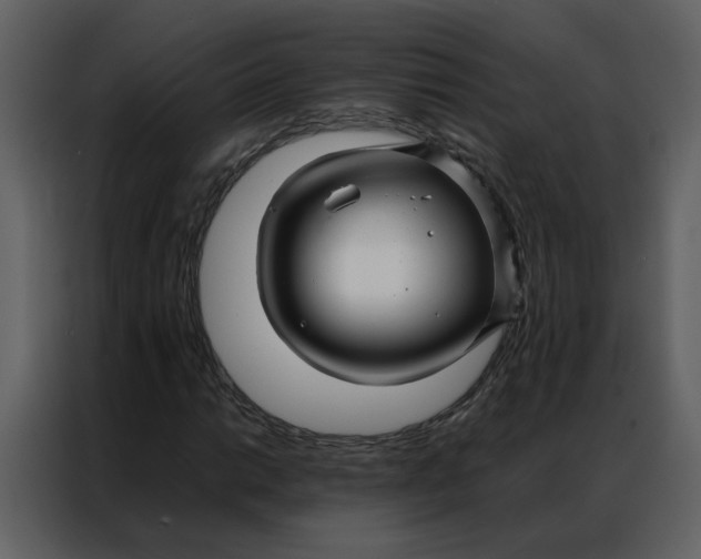 X0000086991014200705071432