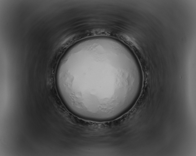 X0000086991015200705071432