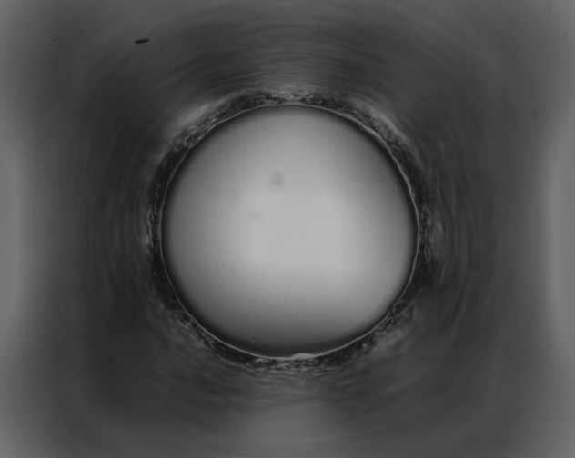 X0000086991016200705071432