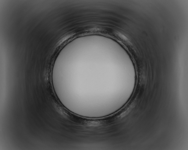 X0000086991017200705071432