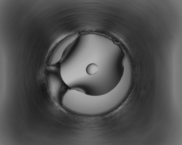 X0000086991018200705071432