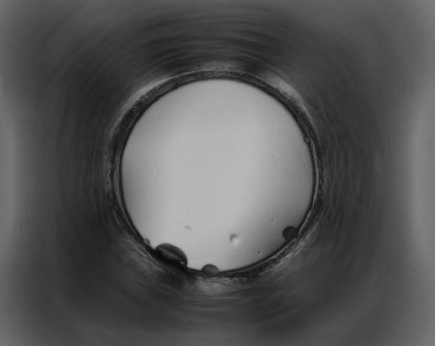 X0000086991019200705071432