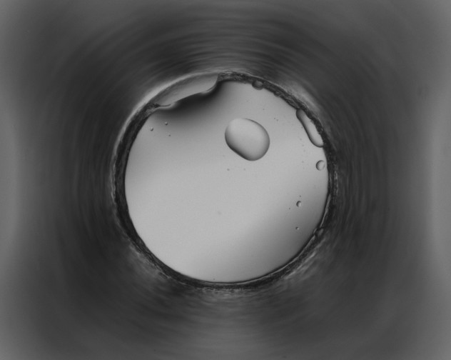 X0000086991020200705071432