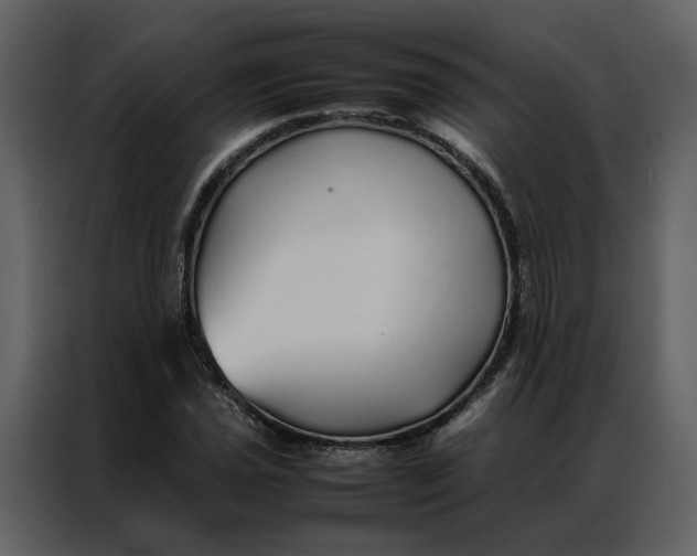 X0000086991021200705071432