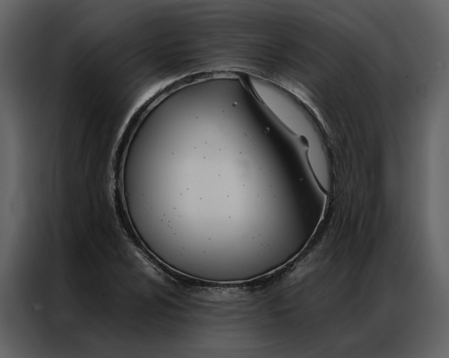 X0000086991024200705071432