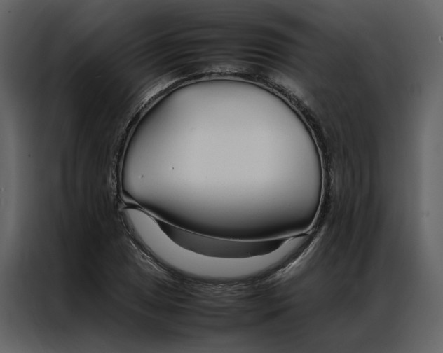 X0000086991025200705071432