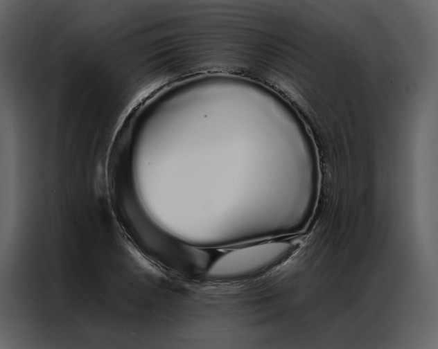 X0000086991026200705071432