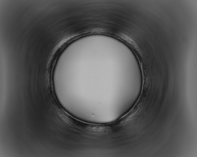 X0000086991027200705071432