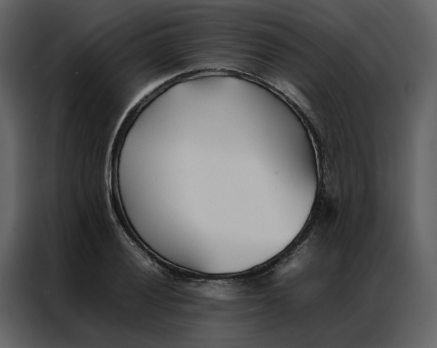 X0000086991028200705071432