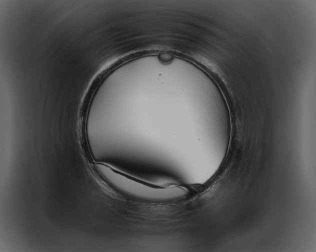 X0000086991029200705071432