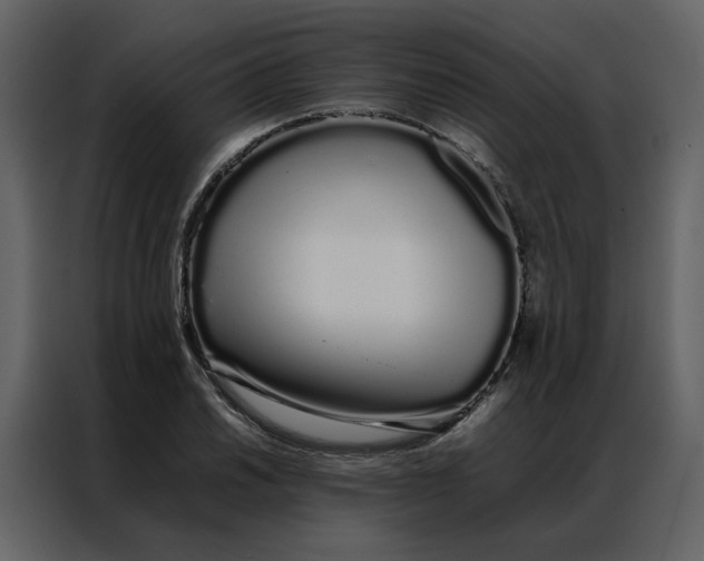 X0000086991030200705071432