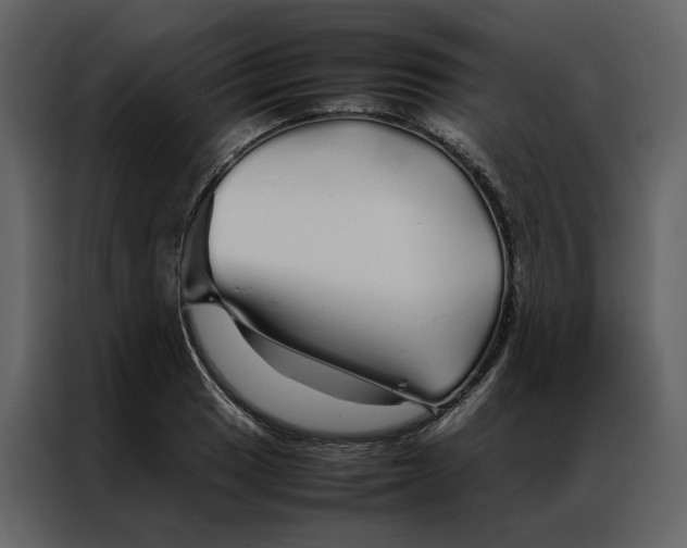 X0000086991033200705071432