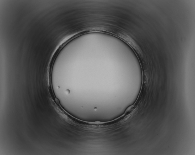 X0000086991036200705071432