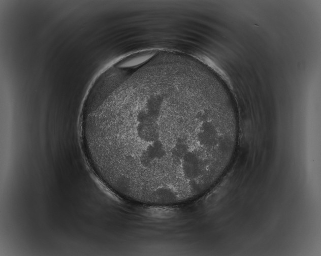 X0000086991037200705071432