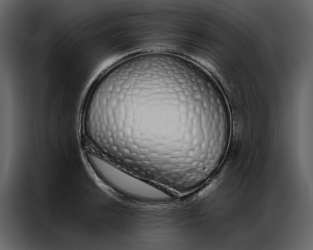 X0000086991038200705071432