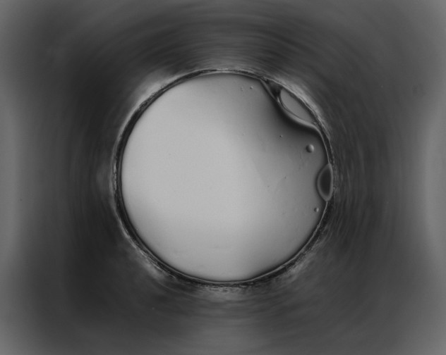 X0000086991040200705071432