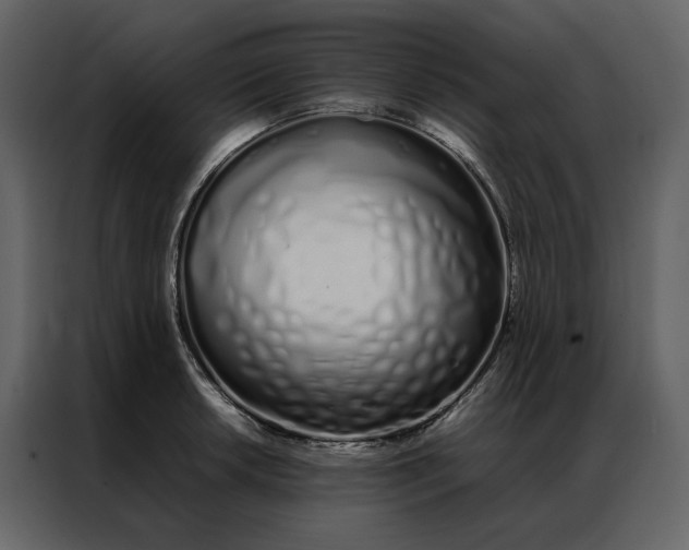 X0000086991042200705071432