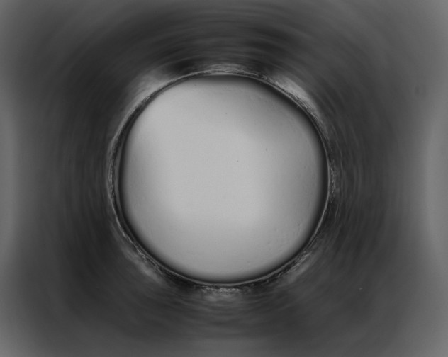 X0000086991043200705071432