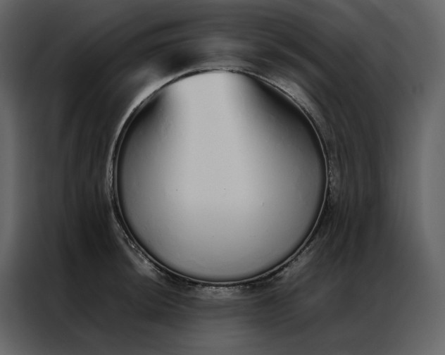 X0000086991044200705071433