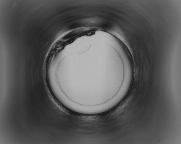 X0000086991045200705071433