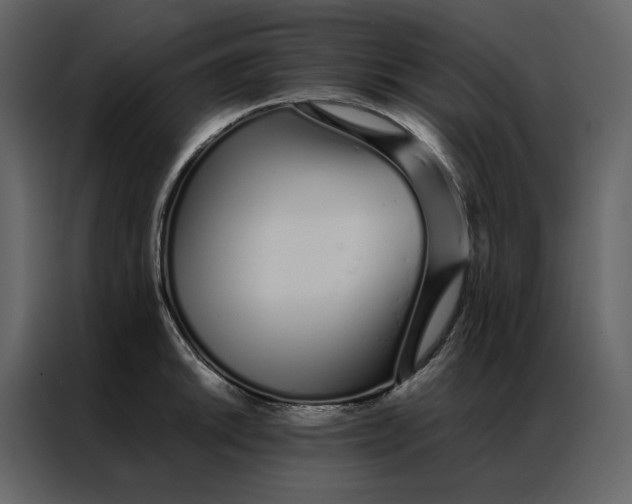 X0000086991046200705071433