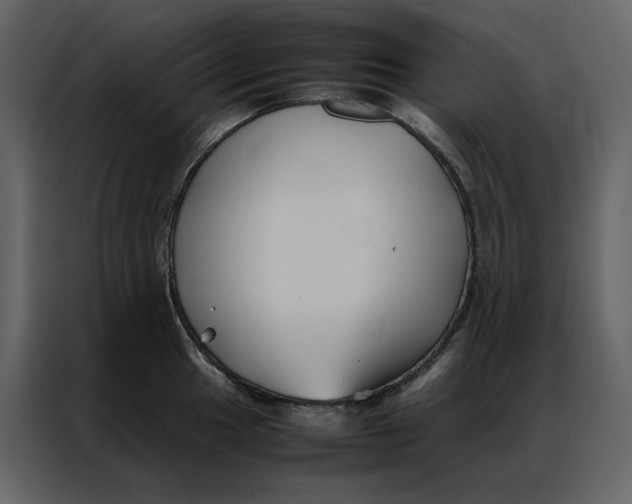 X0000086991049200705071433