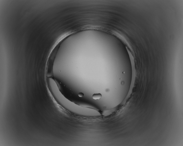 X0000086991050200705071433