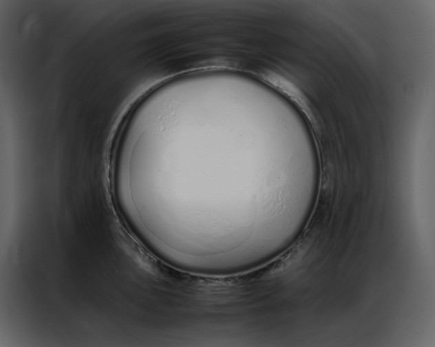 X0000086991051200705071433