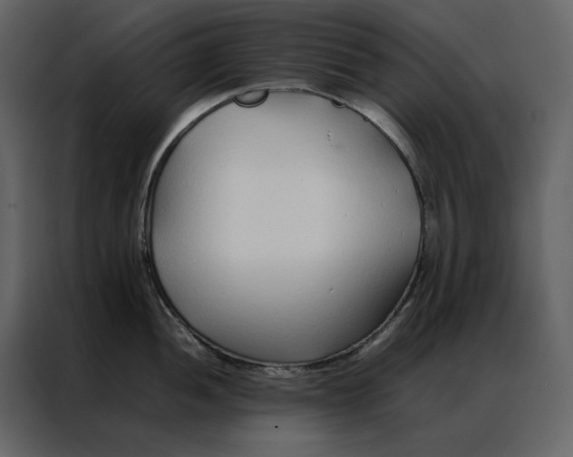 X0000086991052200705071433