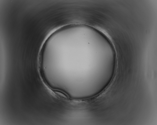 X0000086991056200705071433